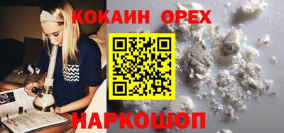 apvp Обь