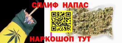apvp Обь