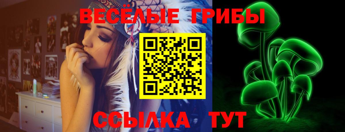 купить   Галлюциногенные грибы мухоморы  Вход с VPN  Псилоцибиновые грибы ЛСД  Таганрог 